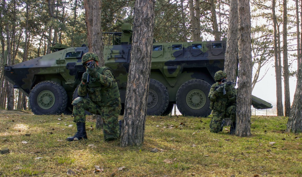 Infantry battalion undergoes training