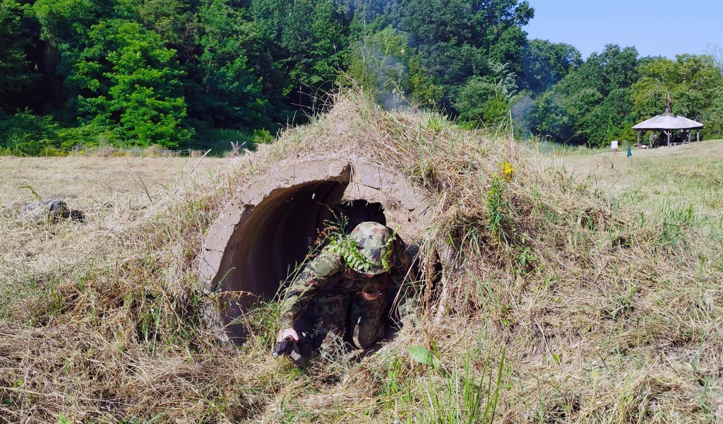 Soldiers training assessed