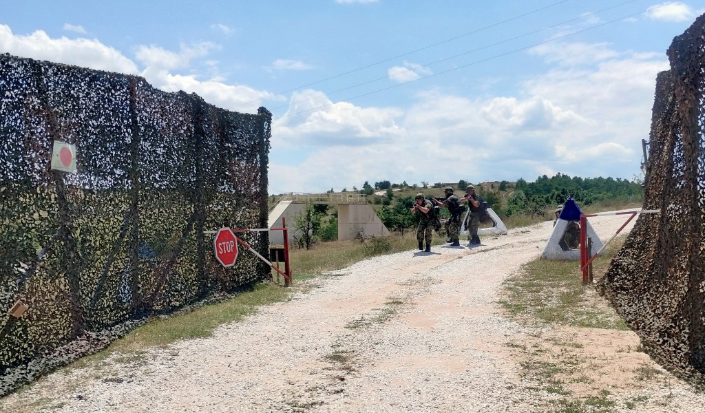Training of Serbian Armed Forces Units for Engagement in Peacekeeping Operation