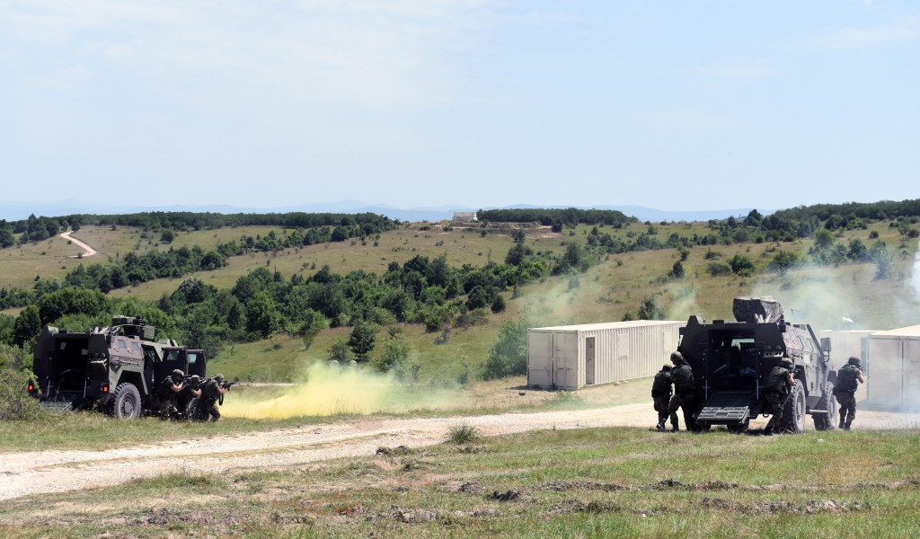 Training in Use of Combat Vehicles in Peacekeeping Operations
