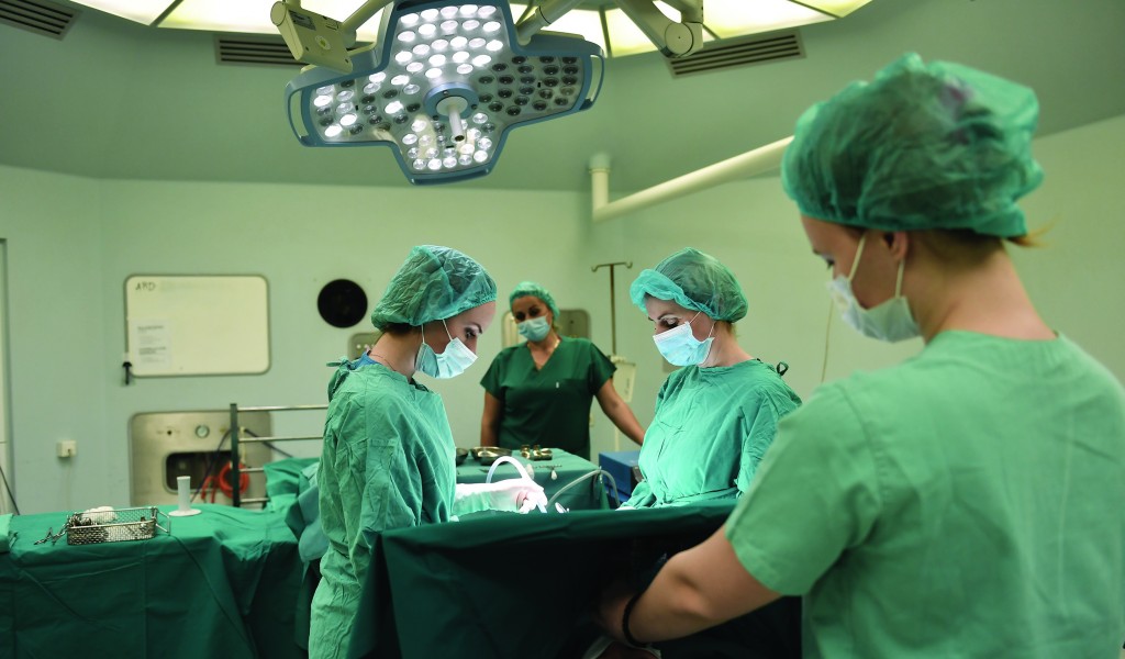 Public call for medical graduates