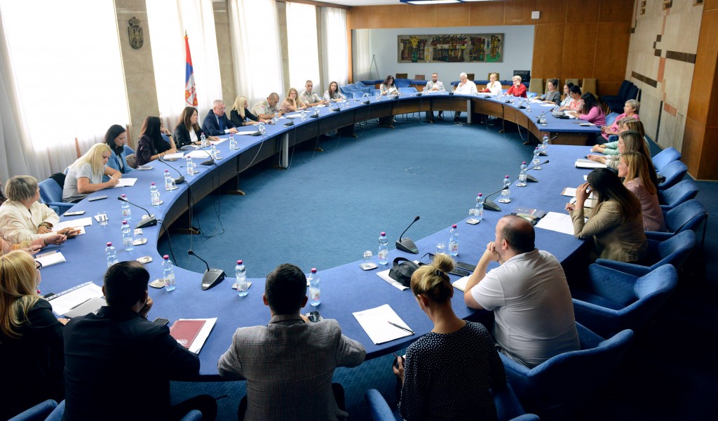 Meeting of Working Group responsible for drafting National Action Plan