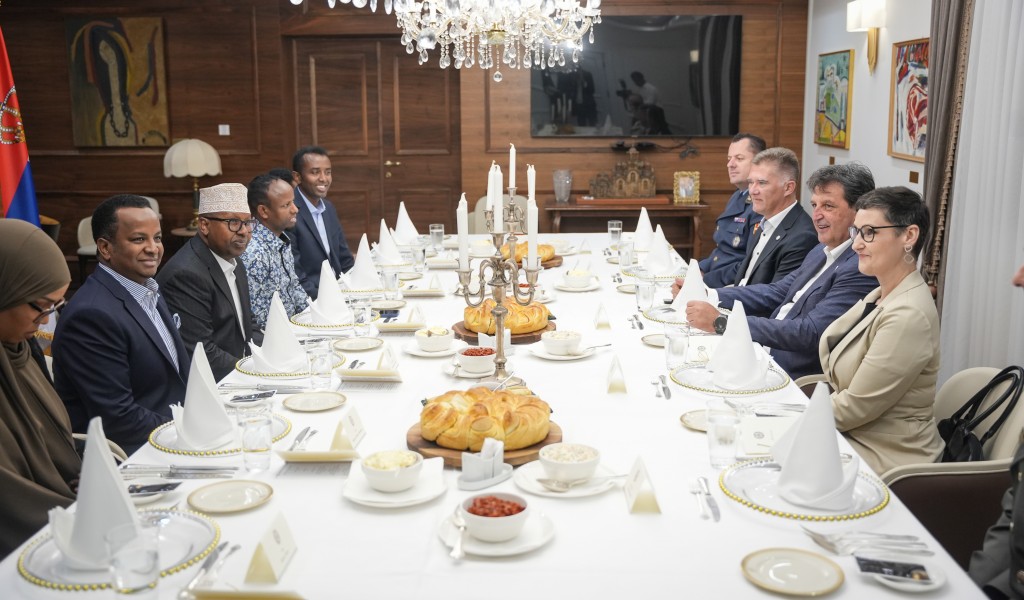 Minister Gašić meets with Somali Minister of Defence