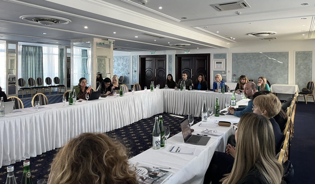 Sastanak Radne grupe za izradu NAP 1325