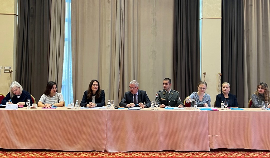 Sastanak Radne grupe za izradu Nacionalnog akcionog plana