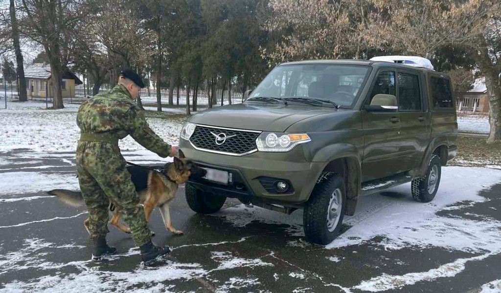 Training for Dog Handlers and Service Dogs in Finding Mine Explosive Devices