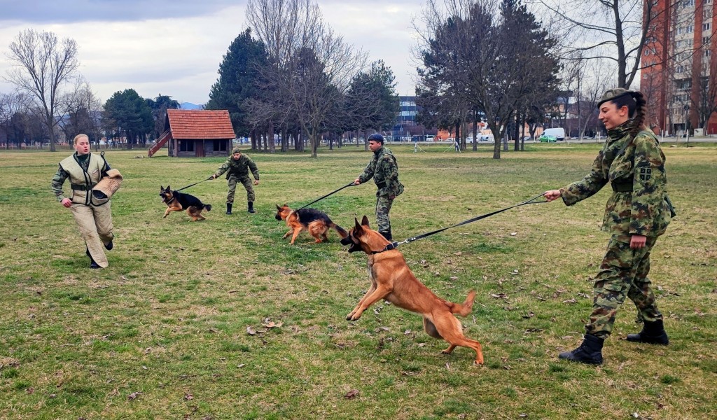 Dog handlers training for guard duty