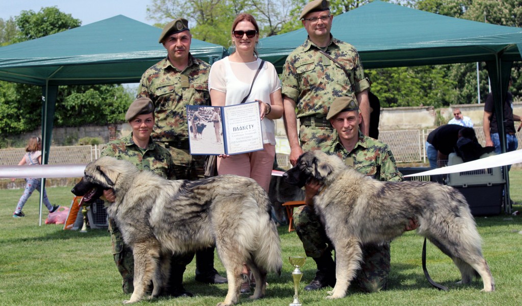 Priznanja za službene vojne pse