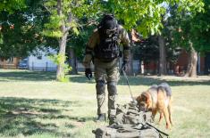 Обука водича и службених паса у јединицама војне полиције