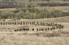 Cadets and students complete loaded march