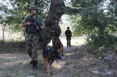 Обука водича и службених паса у јединицама војне полиције