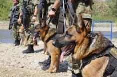 Обука водича и службених паса у јединицама војне полиције