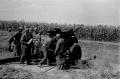 Artillery firing in Ćuprija in 1945.