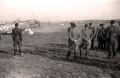 Tito at Zemun airport