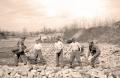 Spasavanje sela od poplave kod Bosanskog Broda 1947. godine