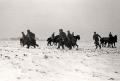 1948 - konjička brigada na taktičkoj vežbi