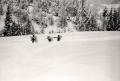 1948 - обука на снегу са смучкама