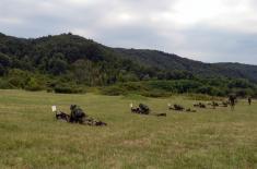 Members of 63rd Parachute Brigade display great competence