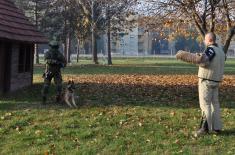 Training for dog handlers and working dogs 