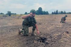 Specialized scout training