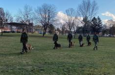 Service Dog Training for Guard Duty