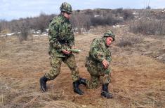 Infantry soldiers in field training