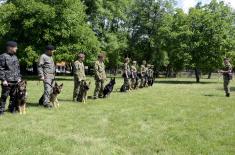 Training course in explosive ordnance detection