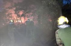 Војска Србије укључена у гашење пожара у Делиблатској пешчари