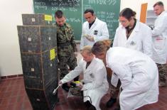 Међународни курс у Центру АБХО