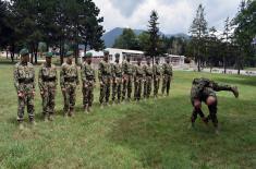 Regular Training of Army Scouts