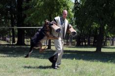 Special Actions Training for Dog Handlers and Service Dogs