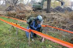 Demining and unexploded ordnance disposal training