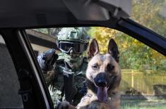 Training for dog handlers and working dogs 