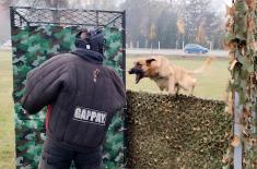 Обука за противтерористичка и противдиверзантска дејства