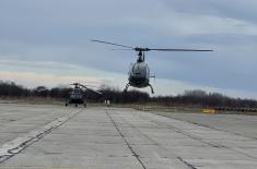 Basic Flying Training for Aviation Branch Officers