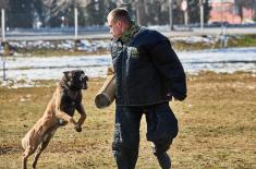 Обука водича и службених паса у функцији заштите војне имовине