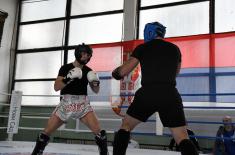 Светосавски турнир у борилачким вештинама