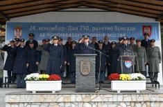 Дан 250. ракетне бригаде за ПВД