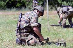 Signal Brigade units doing mobile camp