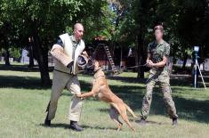 Special Actions Training for Dog Handlers and Service Dogs