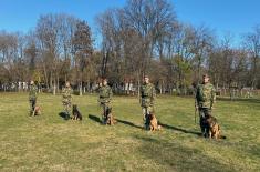 Обука службених паса за чуварску службу