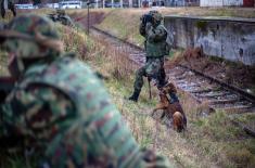 Обука у јединицама војне полиције