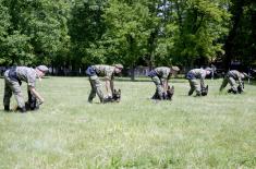 Training course in explosive ordnance detection