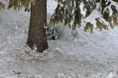 SAF scouts conduct tactical cold weather training