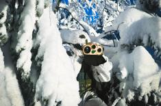 Тактичка обука извиђача Војске Србије у зимским условима