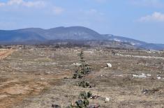 Obuka oklopnih i pešadijskih jedinica Prve brigade kopnene vojske