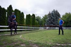 Guard Cavalry Platoon undergoes training in giving military honours