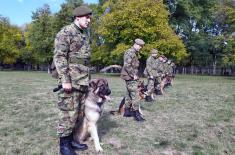 Training for dog handlers and working dogs 