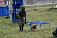 Intensive training in 72nd Special Operations Brigade