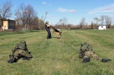 Military Police training